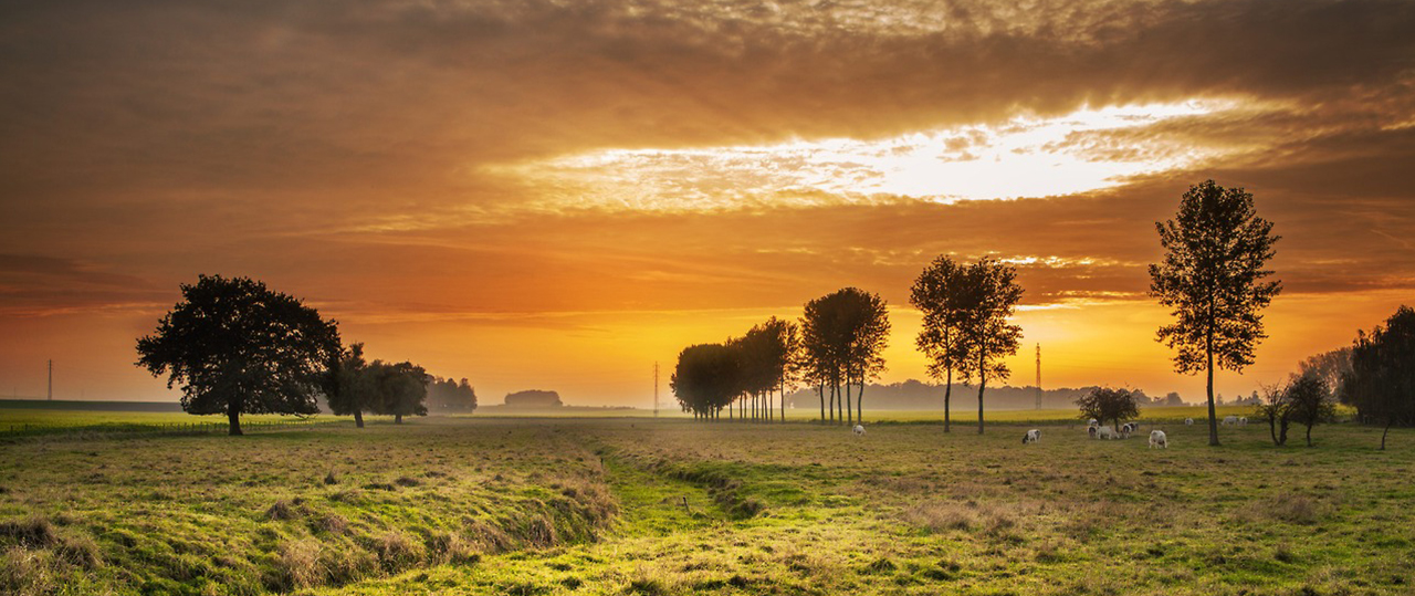 手机号轰在线轰炸免费下载