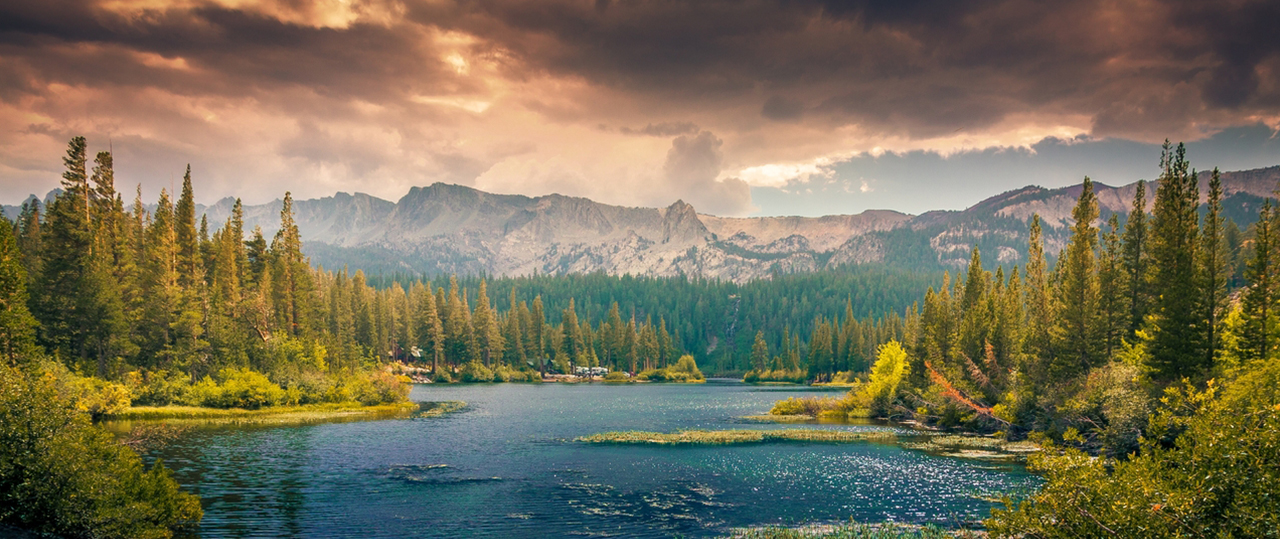 充满惊喜的短信轰炸网页版