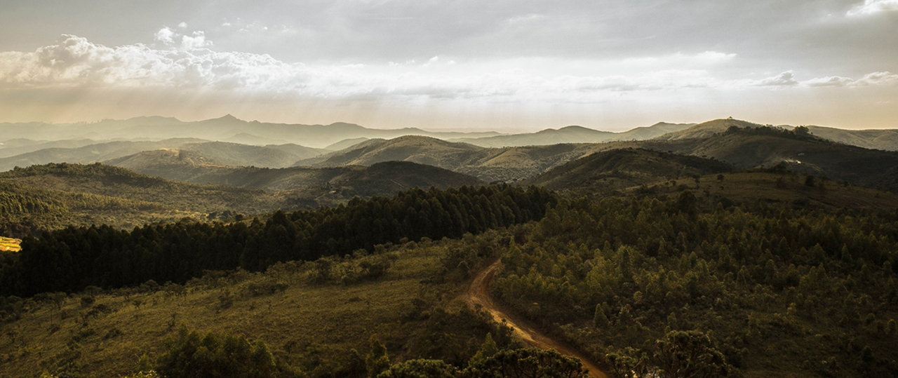 网络短信在线发送