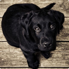 手机号测压平台