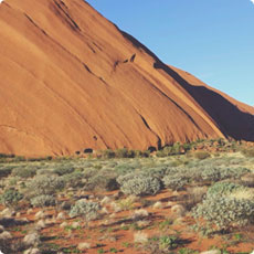 快速服务发现的手机号呼叫软件