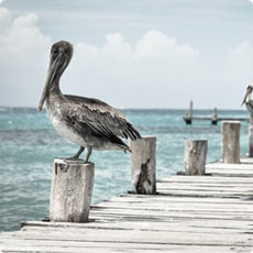 手机被攻击连续收短信