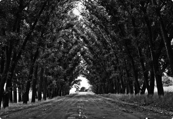 快速故障隔离的呼死你网页版