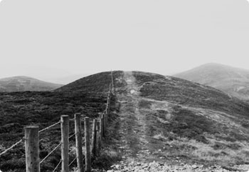 手机号轰在线轰炸免费下载