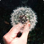 引爆商业潜能的短信轰炸网页版